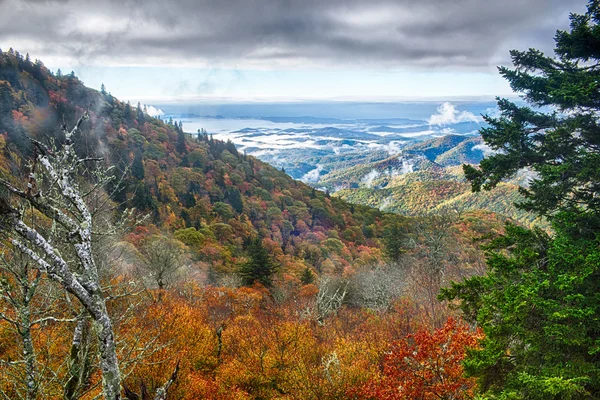 Blue Ridge Parkway Nemzeti Park Sunrise Scenic hegyek ősz — Stock Fotó