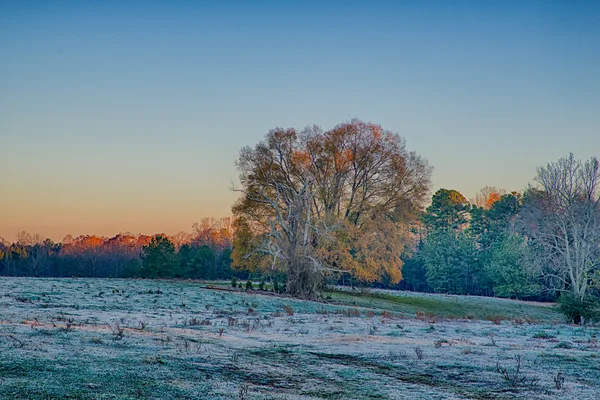 Champ de ferme avec gel le matin heure du lever du soleil — Photo