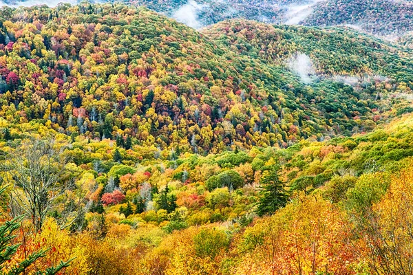 Parque Nacional Blue Ridge Parkway Sunrise Scenic Mountains Otoño — Foto de Stock