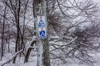 Granit Dağı'nda buz sarkıtları manzara dondurulmuş