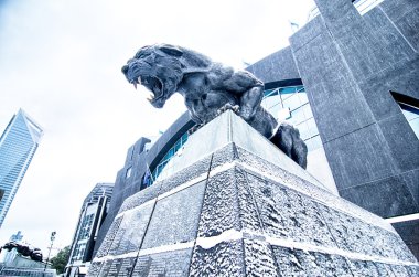Carolina panthers heykel karla kaplı