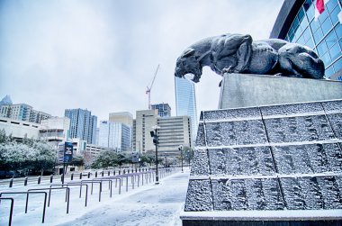 Carolina panthers heykel karla kaplı