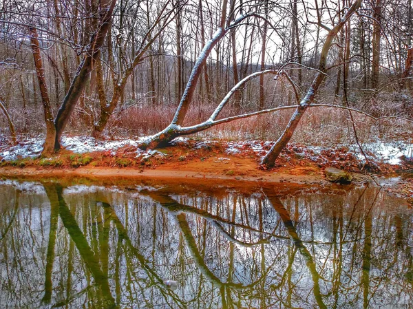 Beau paysage hivernal couvert de forêt de neige — Photo