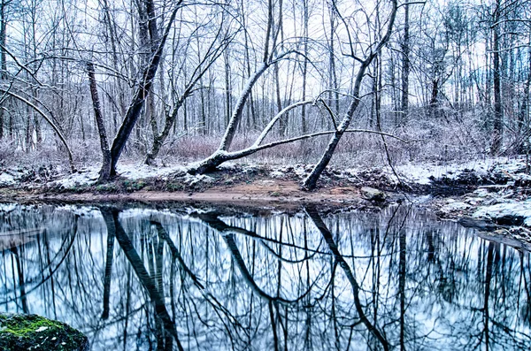 Красивый зимний пейзаж, покрытый снежным лесом — стоковое фото