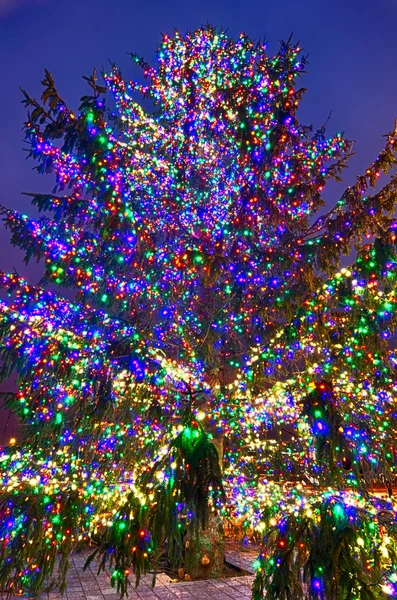 Árbol de navidad cerca del estadio de la pantera en Charlotte North Carolina — Foto de Stock