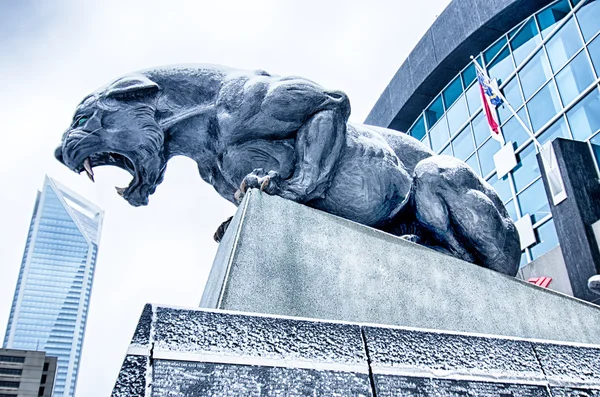 Carolina panthers statue covered in snow — Stock Photo, Image