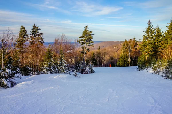 Hermoso paisaje de invierno en Timberline oeste virginia —  Fotos de Stock