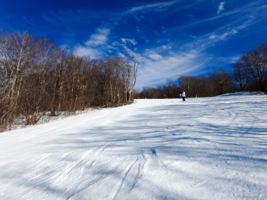 Batı Virginia Timberline 'daki güzel kış manzarası