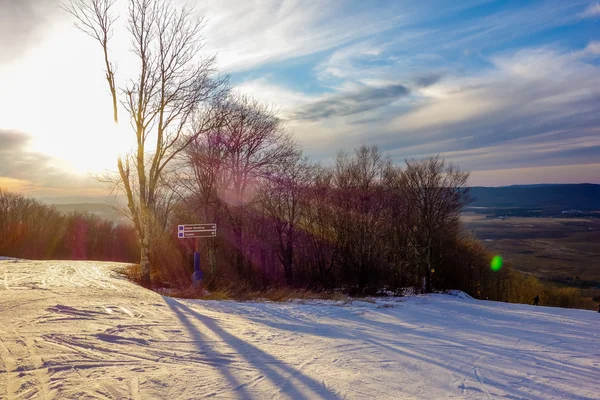 Solnedgång i skogen mellan träden stammar under vinterperioden — Stockfoto