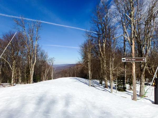 Красивый зимний пейзаж на лесополосе западной Вирджинии — стоковое фото