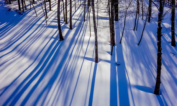 Paesaggio forestale invernale in montagna — Foto Stock