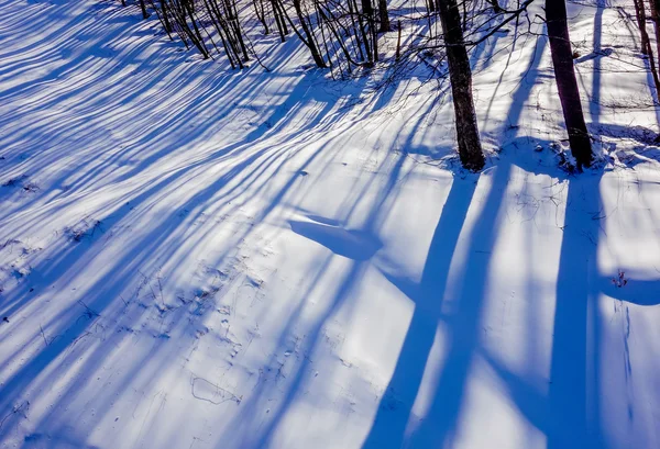 Winter forest landschap in de bergen — Stockfoto