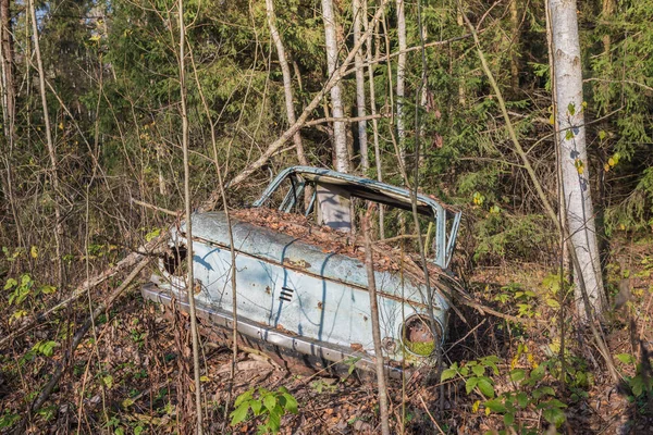 Lost car in the forest/old abandoned and dismantled machine in the forest