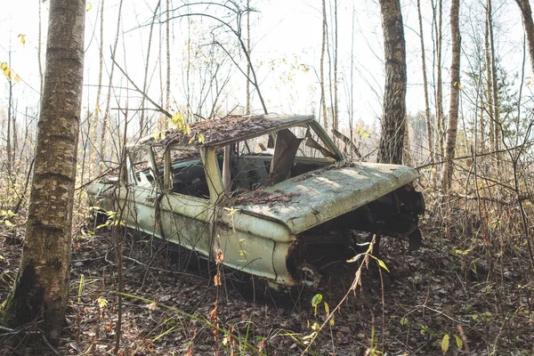 Lost car in the forest/old abandoned and dismantled machine in the forest