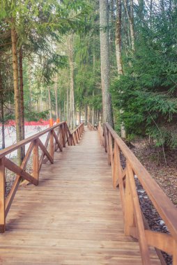 Kayak merkezindeki ormanda ahşap bir yola tırmanmak. Ormandaki ahşap yol.