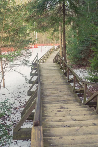 Wooden steps in the forest at a ski resort. Wooden road in the forest