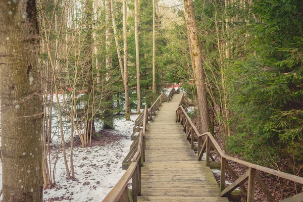 Wooden steps in the forest at a ski resort. Wooden road in the forest