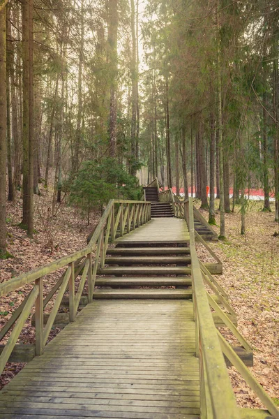 Wooden track at a ski resort in the forest. Ski resort with a wooden road through the forest.