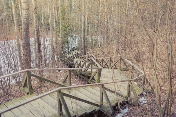 Wooden steps in the forest at a ski resort. Wooden road in the forest