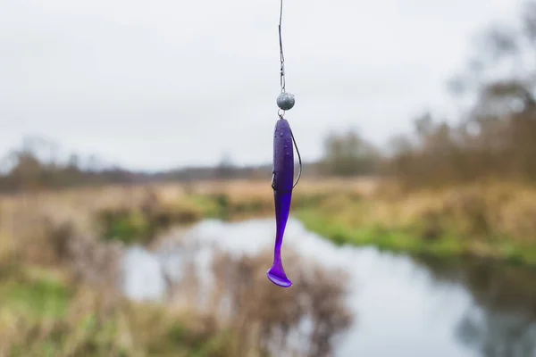 Señuelo Silicona Púrpura Para Pesca Cebo Silicona Para Pescar Colgado —  Fotos de Stock