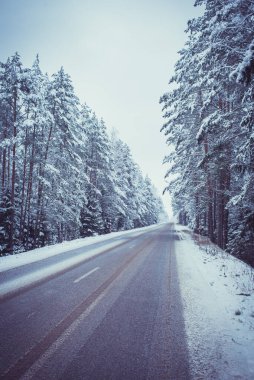 Ormanda karla kaplı asfalt yol. Kış ormanının içinden geçen yol.