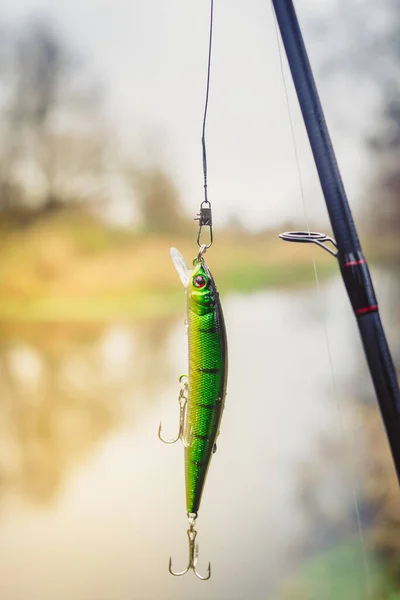 Wobbler Para Pesca Fondo Del Río Aparejo Para Pescar Wobbler — Foto de Stock