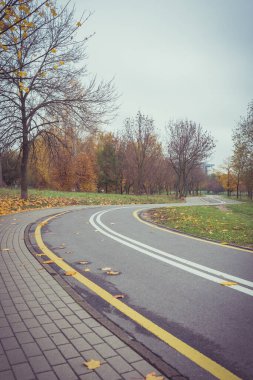 Bisiklet sürmek için parktan geçen asfalt yol. Parktan geçen yol..