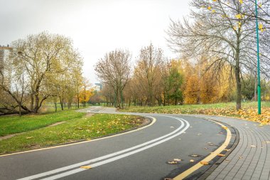 Bisiklet sürmek için parktan geçen asfalt yol. Parktan geçen yol..