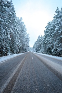 Ormanda karlı ve boş bir yol. Ormanda karlı yolun güzel kış manzarası.