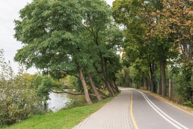 Parktaki bisiklet yolu. Yıkılmış yol