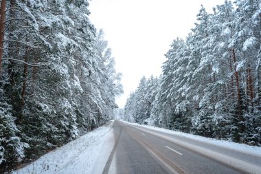 Ormanda karlı ve boş bir yol. Ormanda karlı yolun güzel kış manzarası.