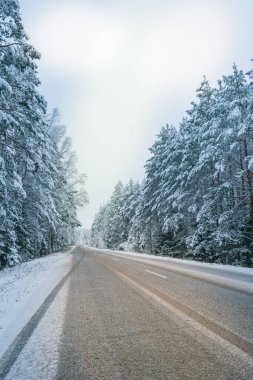 Ormanda karlı ve boş bir yol. Ormanda karlı yolun güzel kış manzarası.