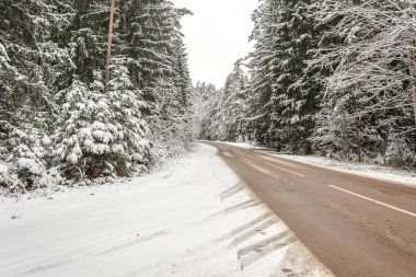 Ormanda karlı ve boş bir yol. Ormanda karlı yolun güzel kış manzarası.