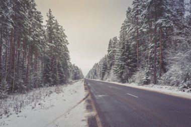Ormanda karlı ve boş bir yol. Ormanda karlı yolun güzel kış manzarası.