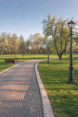 Güneşli bir günde parkta yürümek..
