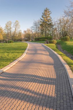 Güneşli bir günde parkta terk edilmiş bir yol.