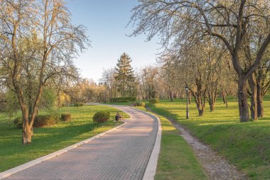 Güneşli bir günde parkta yürümek..