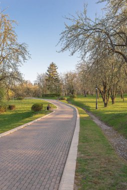 Güneşli bir günde parkta yürümek..