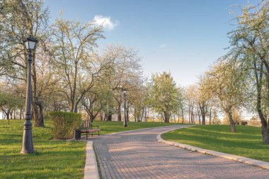 Güneşli bir günde parkta yürümek..
