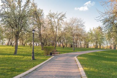 Güneşli bir günde parkta terk edilmiş bir yol.