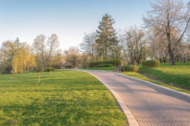 Güneşli bir günde parkta yürümek..