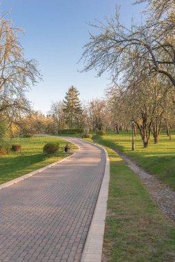 Yaz günü terk edilmiş güzel yeşil park.. 