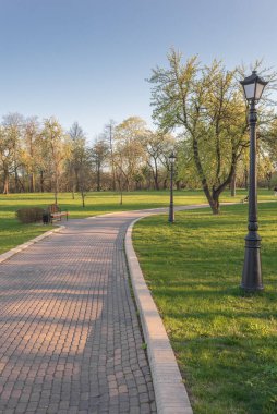 Güzel manzara. Yeşil Park, yaz günü.