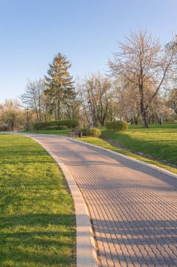 Güzel manzara. Yeşil Park, yaz günü.