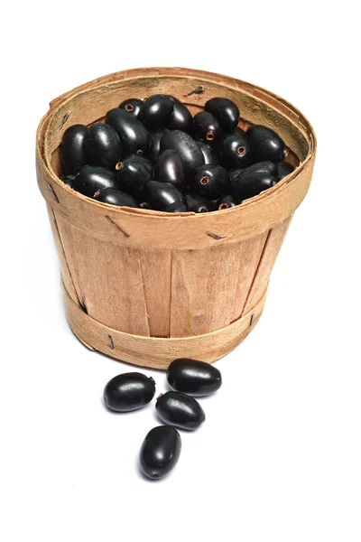 Jambolan fruitss — Foto de Stock