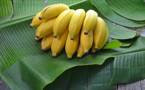 Bananen Stockfoto