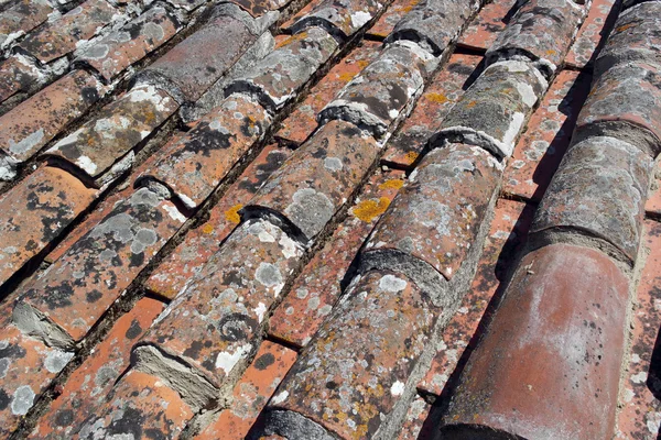 Détail de certaines tuiles de toit — Photo