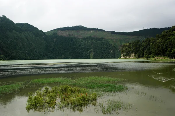 Lagoa das Sete Cidades,サンミゲル,ポルトガル — ストック写真