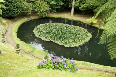 Terra Nostra Park, Sao Miguel Island, Portekiz