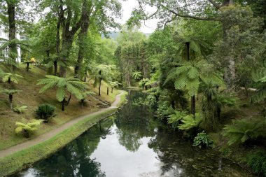 Terra Nostra Park, Sao Miguel Island, Portekiz